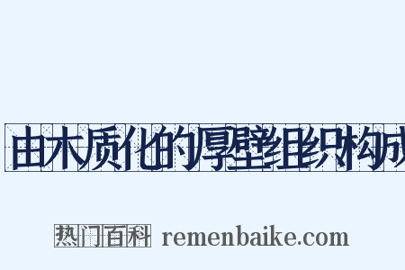 由木质化的厚壁组织构成是什么意思的图片